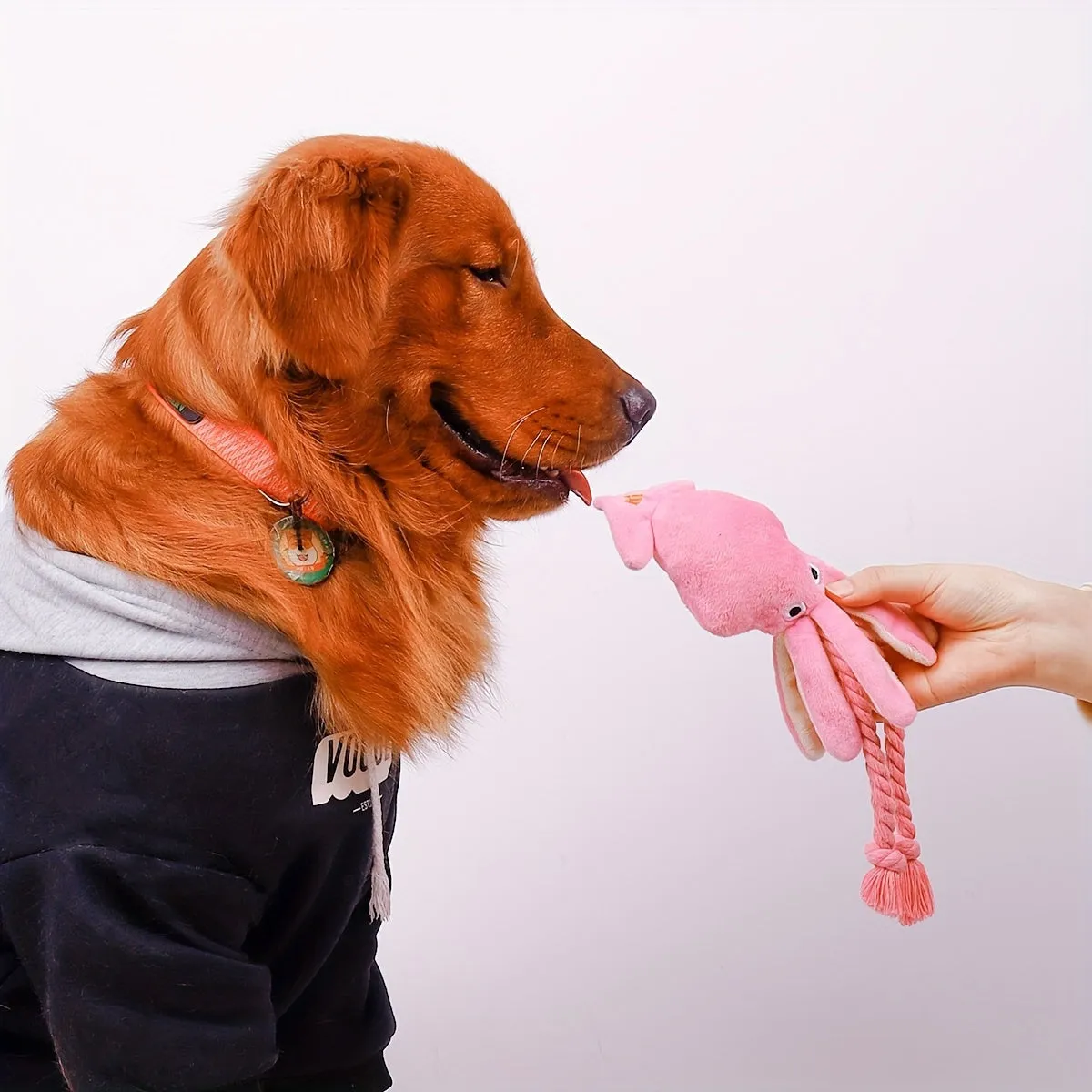 Durable and Interactive Dog Toy Octopus Design Teeth Grinder