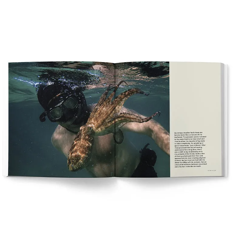 Sea Change – Return To The Wild (My Octopus Teacher)