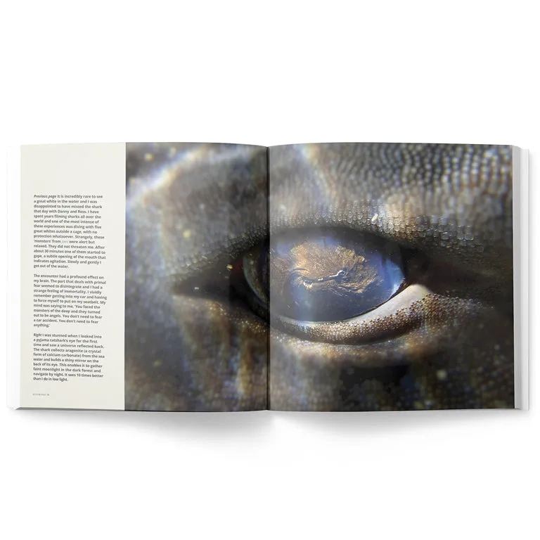 Sea Change – Return To The Wild (My Octopus Teacher)