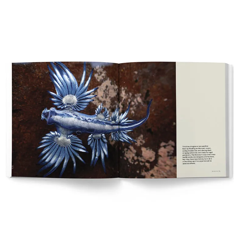 Sea Change – Return To The Wild (My Octopus Teacher)